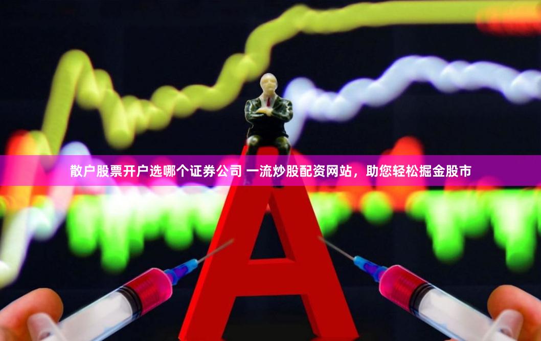 散户股票开户选哪个证券公司 一流炒股配资网站,助您轻松掘金股市