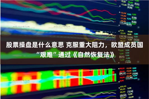 股票操盘是什么意思 克服重大阻力，欧盟成员国“艰难”通过《自然恢复法》