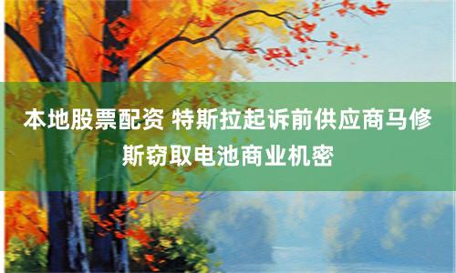 本地股票配资 特斯拉起诉前供应商马修斯窃取电池商业机密