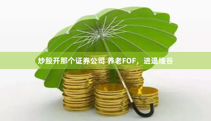 炒股开那个证券公司 养老FOF，进退维谷