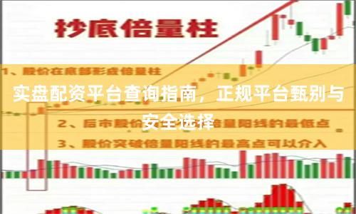 实盘配资平台查询指南，正规平台甄别与安全选择