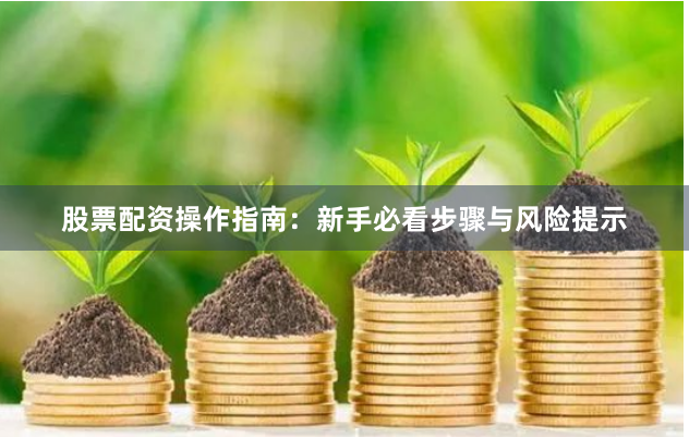 股票配资操作指南：新手必看步骤与风险提示