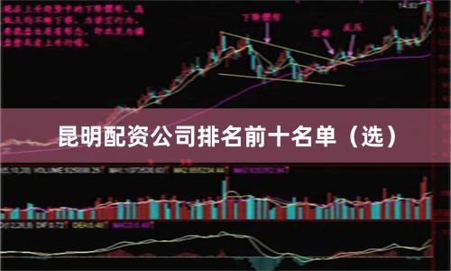 昆明配资公司排名前十名单（选）